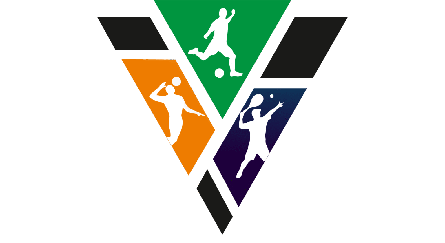 VSA Logo