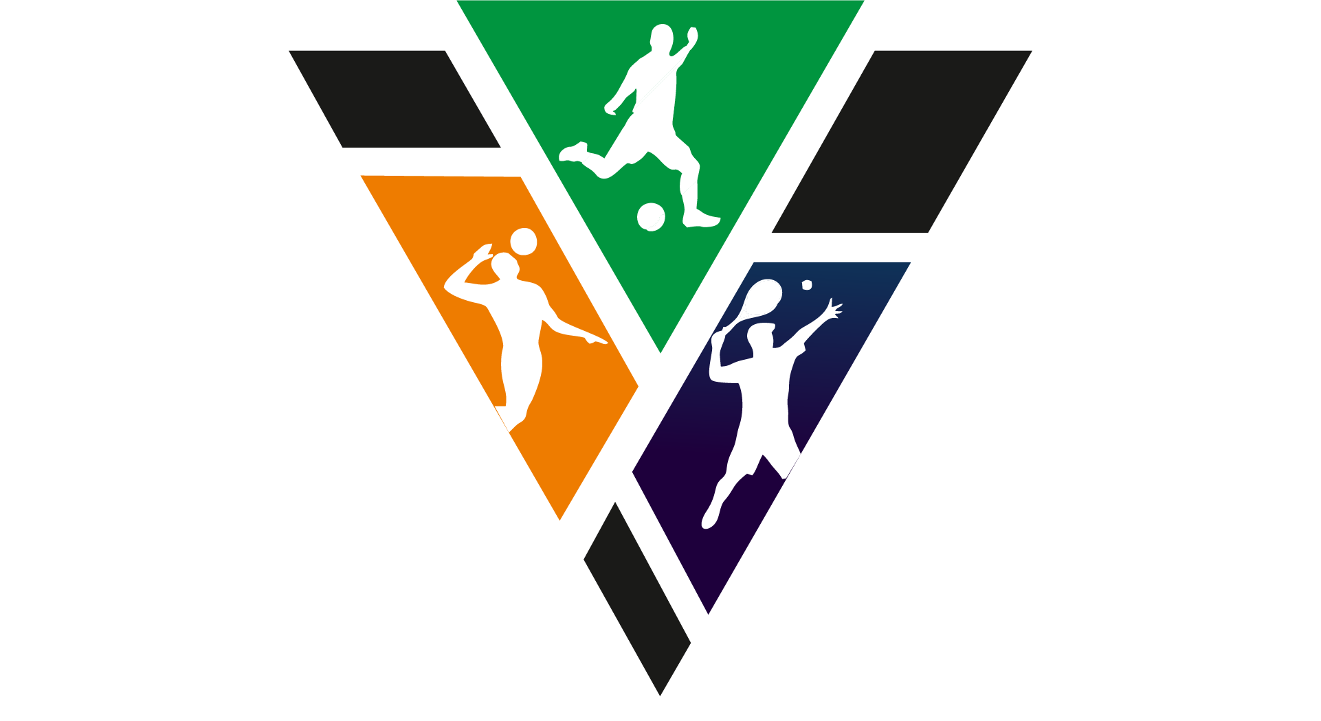 Vidyanchal Sports Academy logo